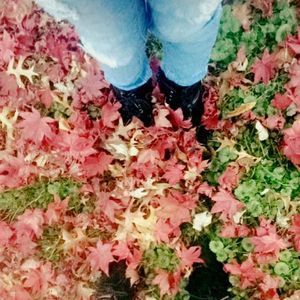 Meet your Posher, Brooke